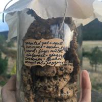 cookies